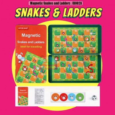 Magnetic Snakes and Ladders : IB002A